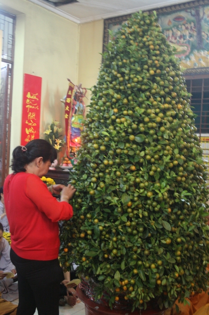 Chùm ảnh đón xuân Di Lặc ngày mồng một tết 2012 tại chùa Giác Ngộ