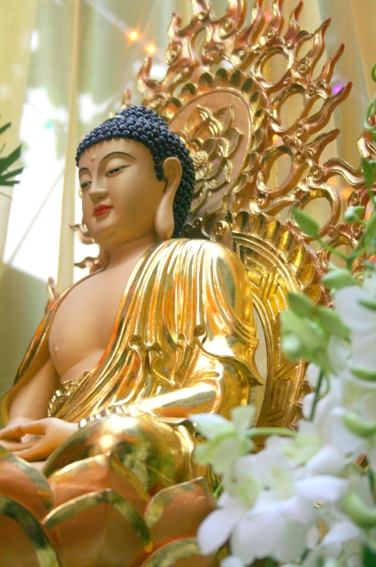 TP. HCM: Chùa Huệ Quang tổ chức lễ tạ đàn Dược Sư Thất Châu