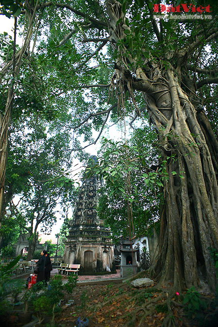 Khoảng lặng xứ Đoài