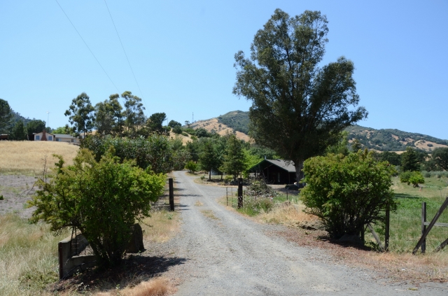 Trung tâm tu học Phổ Trí - Hoa Kỳ tổ chức lễ an vị Phật