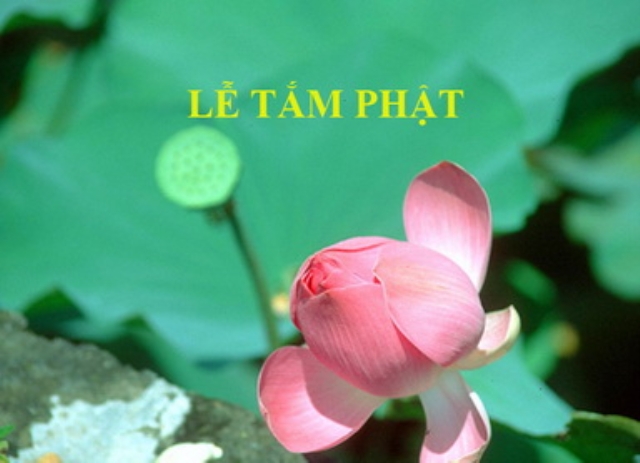 Đại lễ Phật Đản tại tu viện Kim Sơn - Ngôi tòng lâm danh tiếng tại Hoa Kỳ