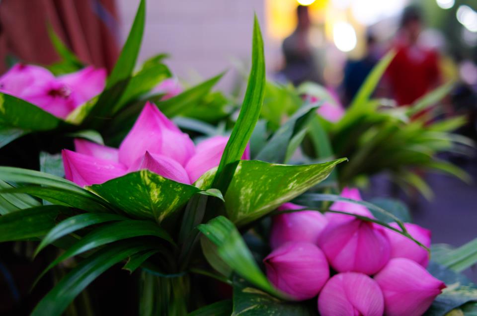 Dư âm vang vọng đại Trai đàn chẩn tế chùa Việt Nam Quốc Tự