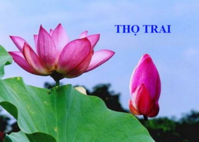Đại lễ Phật Đản tại tu viện Kim Sơn - Ngôi tòng lâm danh tiếng tại Hoa Kỳ