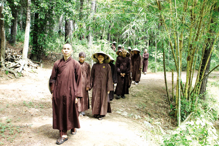 Thiền hành