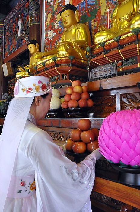 Hàn Quốc : Chùa Phụng Ân Phúc lợi Y tế xã hội chuẩn bị Lễ tắm Phật