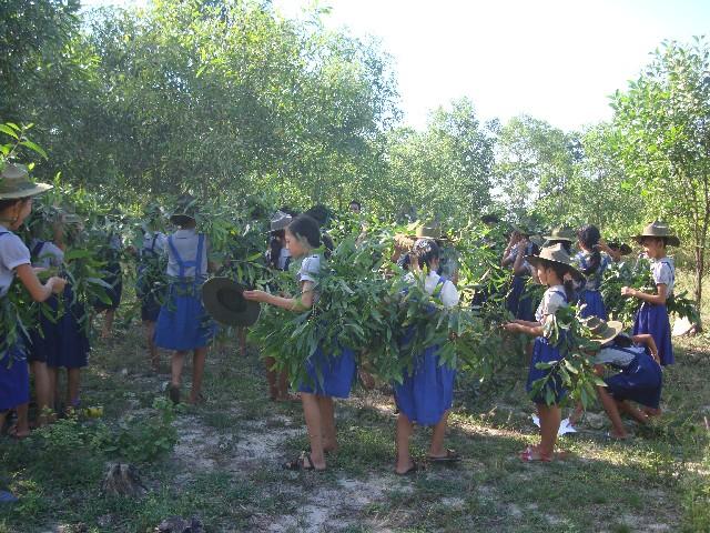 Quảng Trị: GĐPT H. Hải Lăng tổ chức trại huấn luyện A Nô Ma và Chăn Đàn Tuyết Sơn