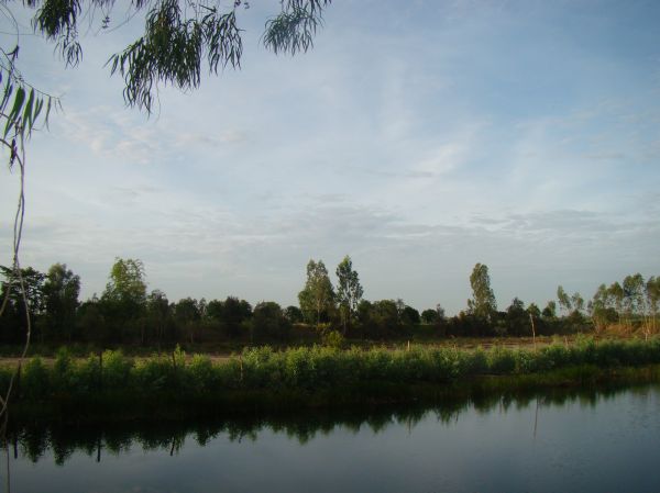 Đồng tháp: Khởi động khóa tu mùa hè “Tuổi trẻ và cuộc sống” lần V, chủ đề “Nuôi dưỡng mầm sen”