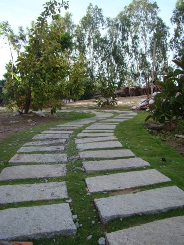 Đồng tháp: Khởi động khóa tu mùa hè “Tuổi trẻ và cuộc sống” lần V, chủ đề “Nuôi dưỡng mầm sen”