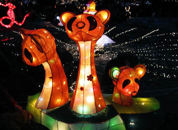 Hình ảnh lễ Phật đản tại Hàn Quốc