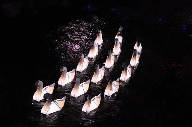 Hình ảnh lễ Phật đản tại Hàn Quốc