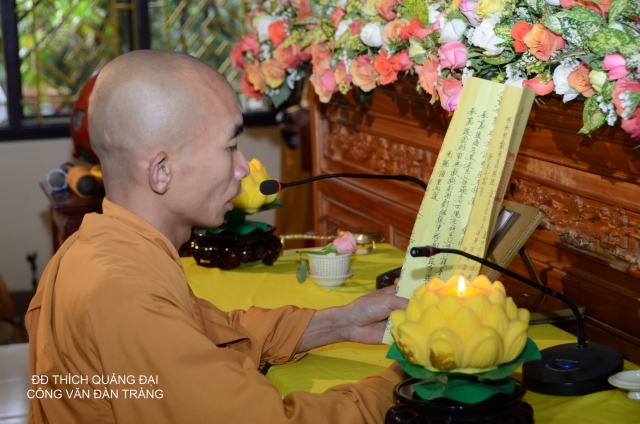 Bộ tượng Tây Phương Tam Thánh bằng gỗ dâu lớn nhất Việt Nam