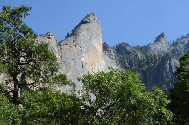Chùa Phổ Từ tổ chức hành hương và tham quan công viên quốc gia Yosemite, California