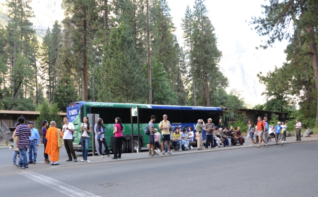 Chùa Phổ Từ tổ chức hành hương và tham quan công viên quốc gia Yosemite, California