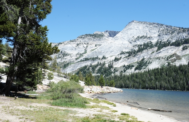 Chùa Phổ Từ tổ chức hành hương và tham quan công viên quốc gia Yosemite, California