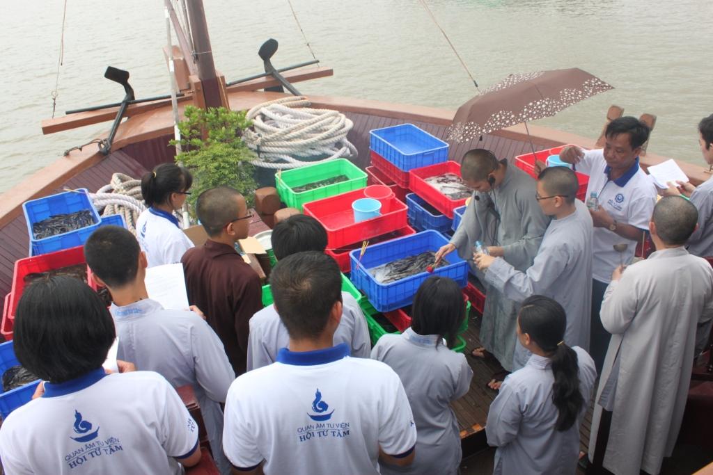 TPHCM: Khóa tu Gieo Hạt Từ Tâm kì 3 với chủ đề: Lắng Nghe Để Hiểu - Hiểu Để Thương