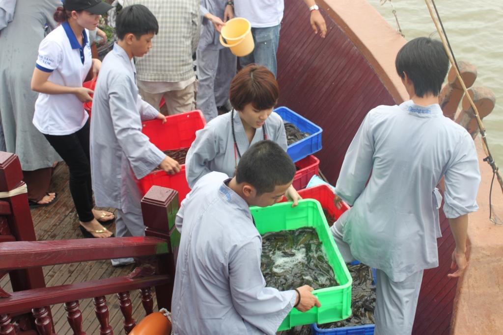 TPHCM: Khóa tu Gieo Hạt Từ Tâm kì 3 với chủ đề: Lắng Nghe Để Hiểu - Hiểu Để Thương