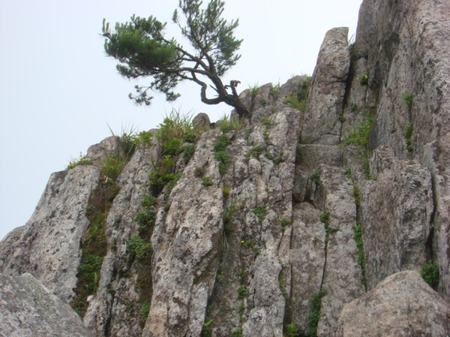 Phù Nhân Cổ Tự, Hàn Quốc