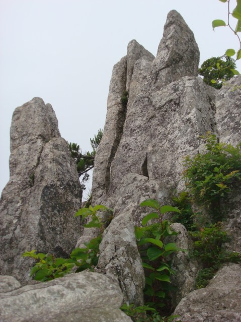 Phù Nhân Cổ Tự, Hàn Quốc
