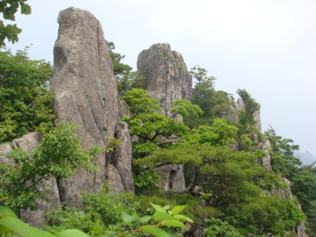 Phù Nhân Cổ Tự, Hàn Quốc