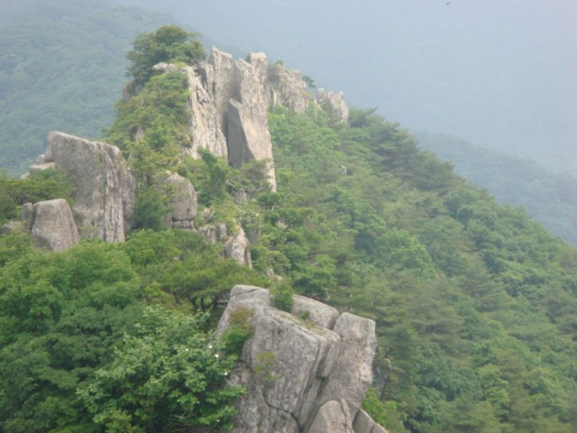 Phù Nhân Cổ Tự, Hàn Quốc