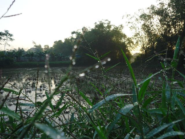 Lục bát xướng họa!