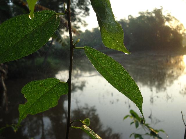Lục bát xướng họa!