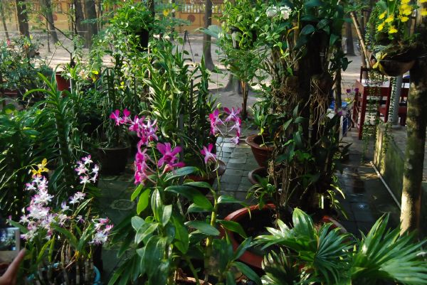 Có một ngày chủ nhật như thế