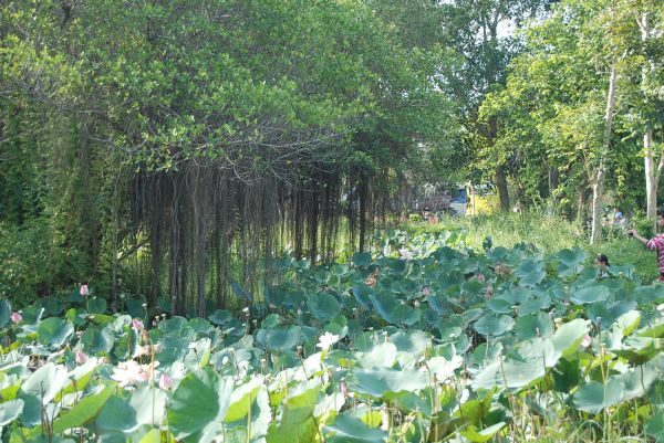 Có một ngày chủ nhật như thế