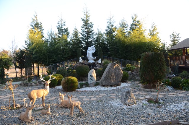 Hoa Kỳ: Đón giao thừa và mồng một Tết Quý Tỵ ở một số chùa Bắc California