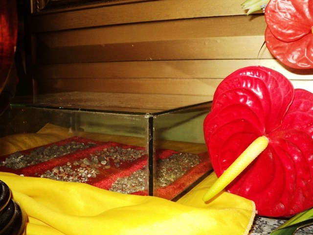 Khánh Hòa: Khánh thành bảo tháp Tịnh xá Ngọc Pháp (Nha Trang)