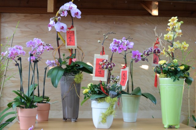 Mỹ: Chùa Liễu Quán (San Jose) tổ chức lễ hiệp kỵ chư vị hương linh và tất niên năm Nhâm Thìn