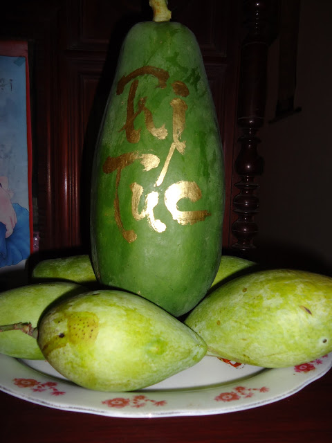 Tình Cố Hương