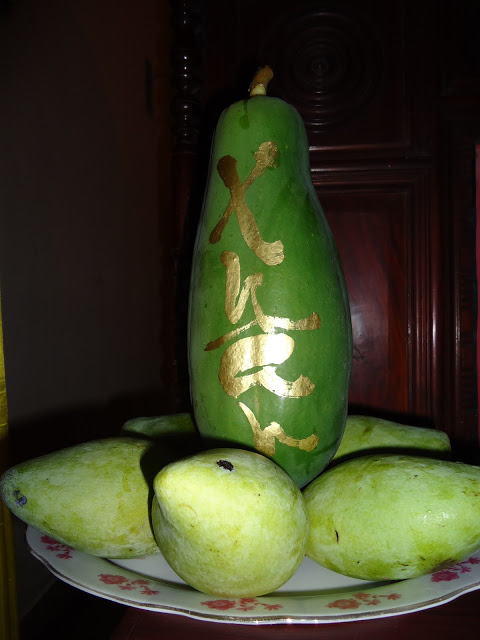 Tình Cố Hương
