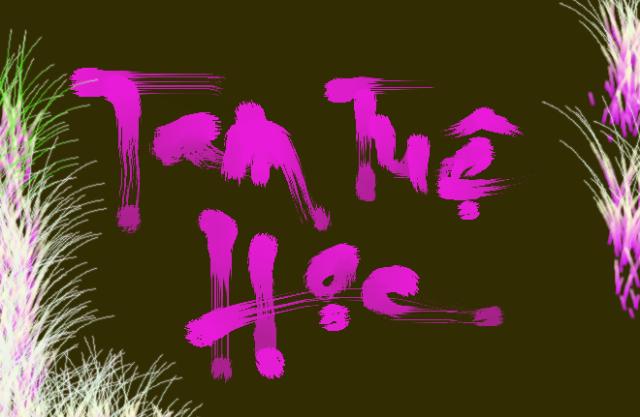 Thư Pháp Trên Máy Vi Tính