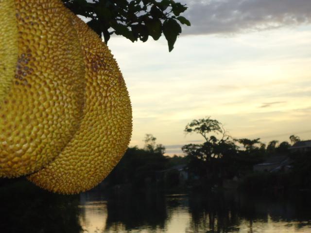 Chùm Thơ Lục Bát 3 Câu