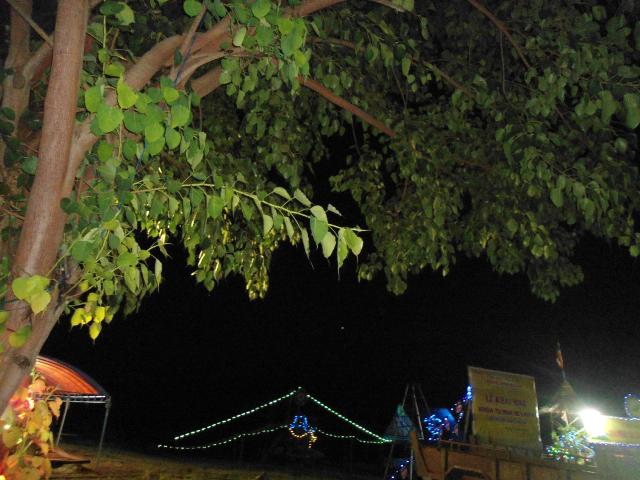 Công tác chuẩn bị khai mạc khóa tu hè 2013 Chùa linh Quang ĐăkNông