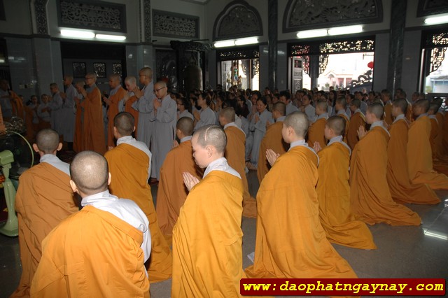 TP. HCM: Quan Âm Tu Viện cúng dường 13 trường hạ