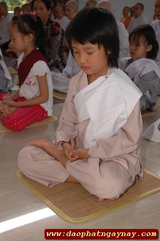 Đồng Nai: Lễ xuất gia gieo duyên lần thứ năm