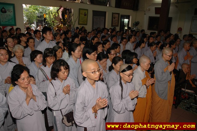 TP. HCM: Quan Âm Tu Viện cúng dường 13 trường hạ