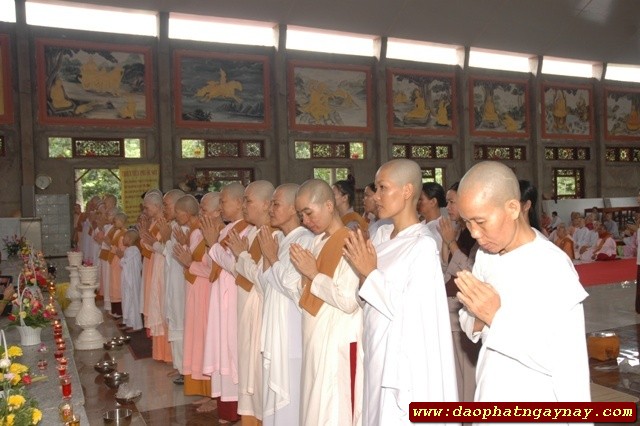 Đồng Nai: Lễ xuất gia gieo duyên lần thứ năm