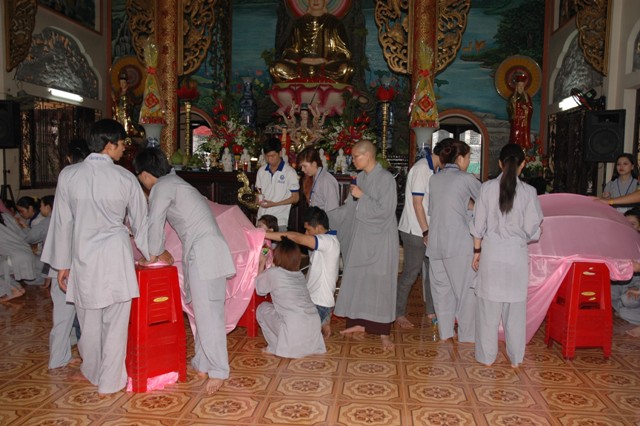 Gieo Hạt Từ Tâm 14: Bảy đóa sen hồng