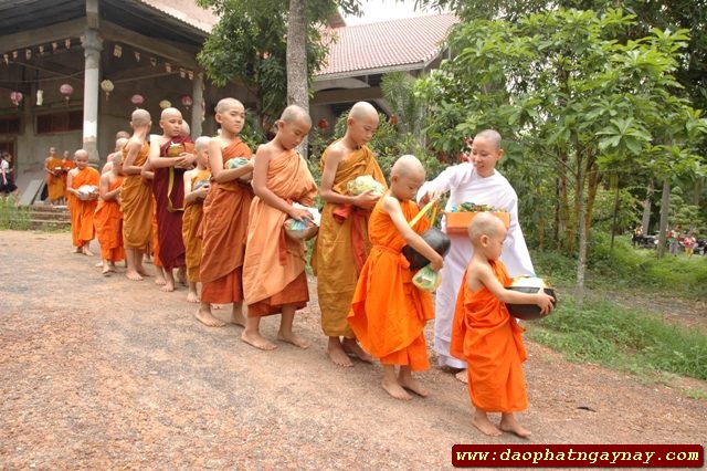Đồng Nai: Lễ xuất gia gieo duyên lần thứ năm