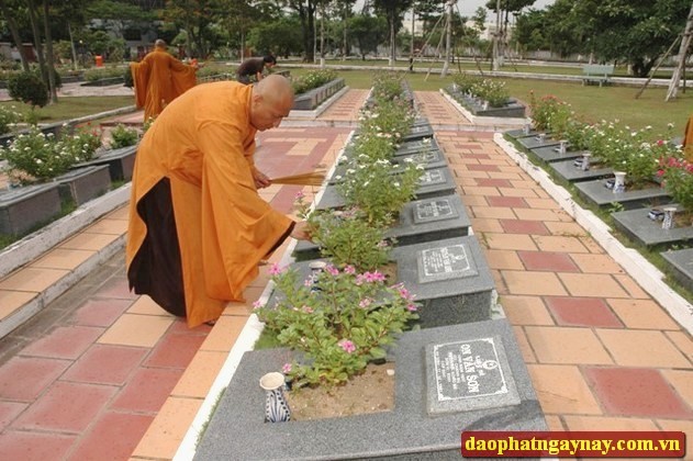 Bình Dương: Rực rỡ mùa Phật đản PL 2557