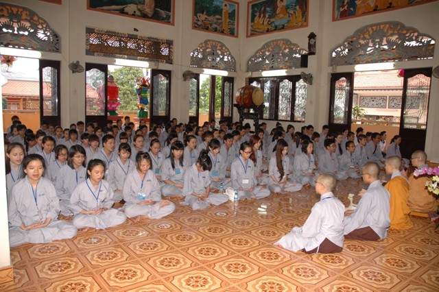 Gieo Hạt Từ Tâm 14: Bảy đóa sen hồng