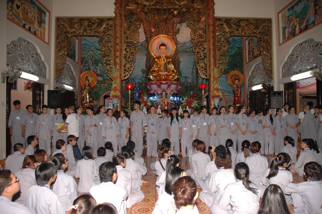 Gieo Hạt Từ Tâm 14: Bảy đóa sen hồng
