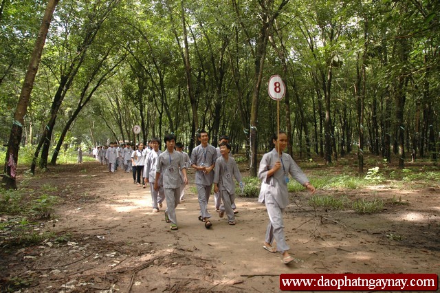 Khóa tu Gieo Hạt Từ Tâm 16: Đất thép Củ Chi