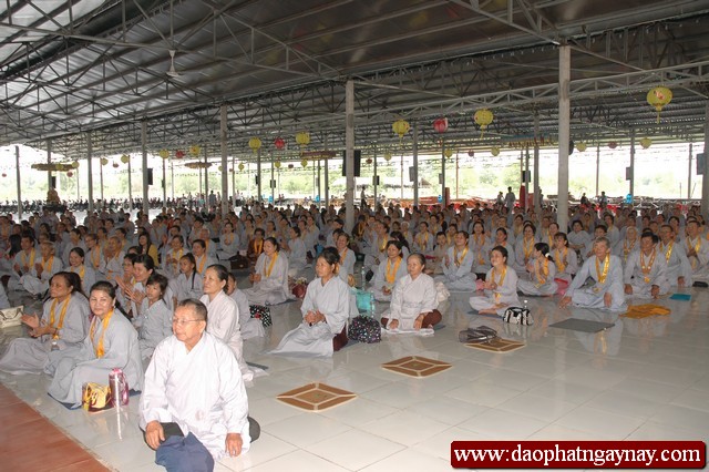 Khóa tu Gieo Hạt Từ Tâm 16: Đất thép Củ Chi