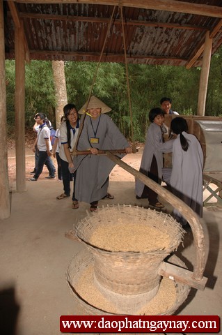 Khóa tu Gieo Hạt Từ Tâm 16: Đất thép Củ Chi