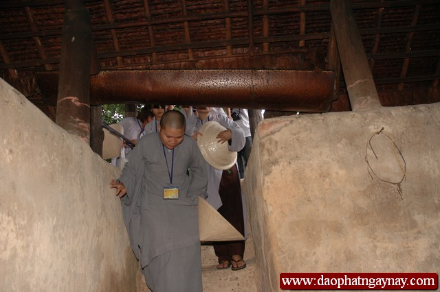 Khóa tu Gieo Hạt Từ Tâm 16: Đất thép Củ Chi