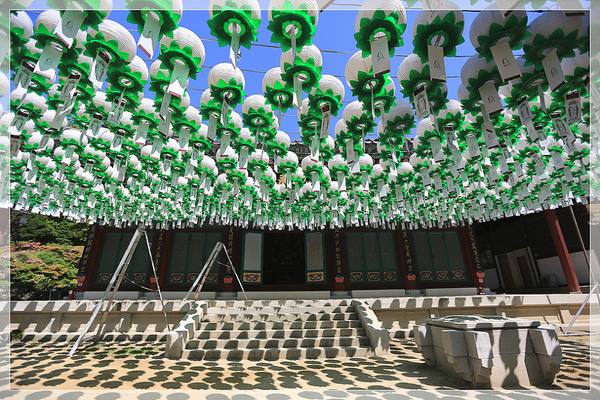 Hàn Quốc : Chùa Phụng Ân sinh hoạt Lễ Phật Đản